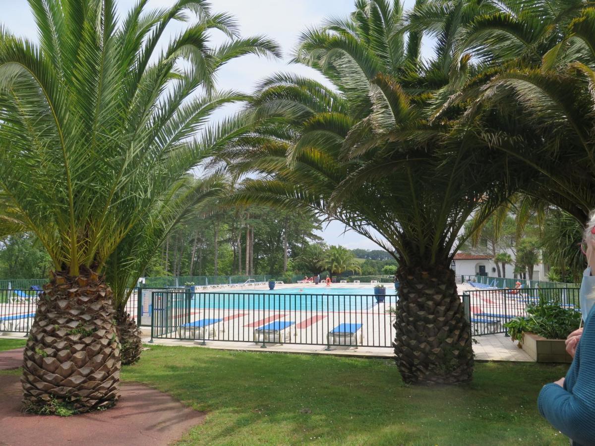 Hasparren-121 T2 Terrasse Et Piscine ユリューニュ エクステリア 写真